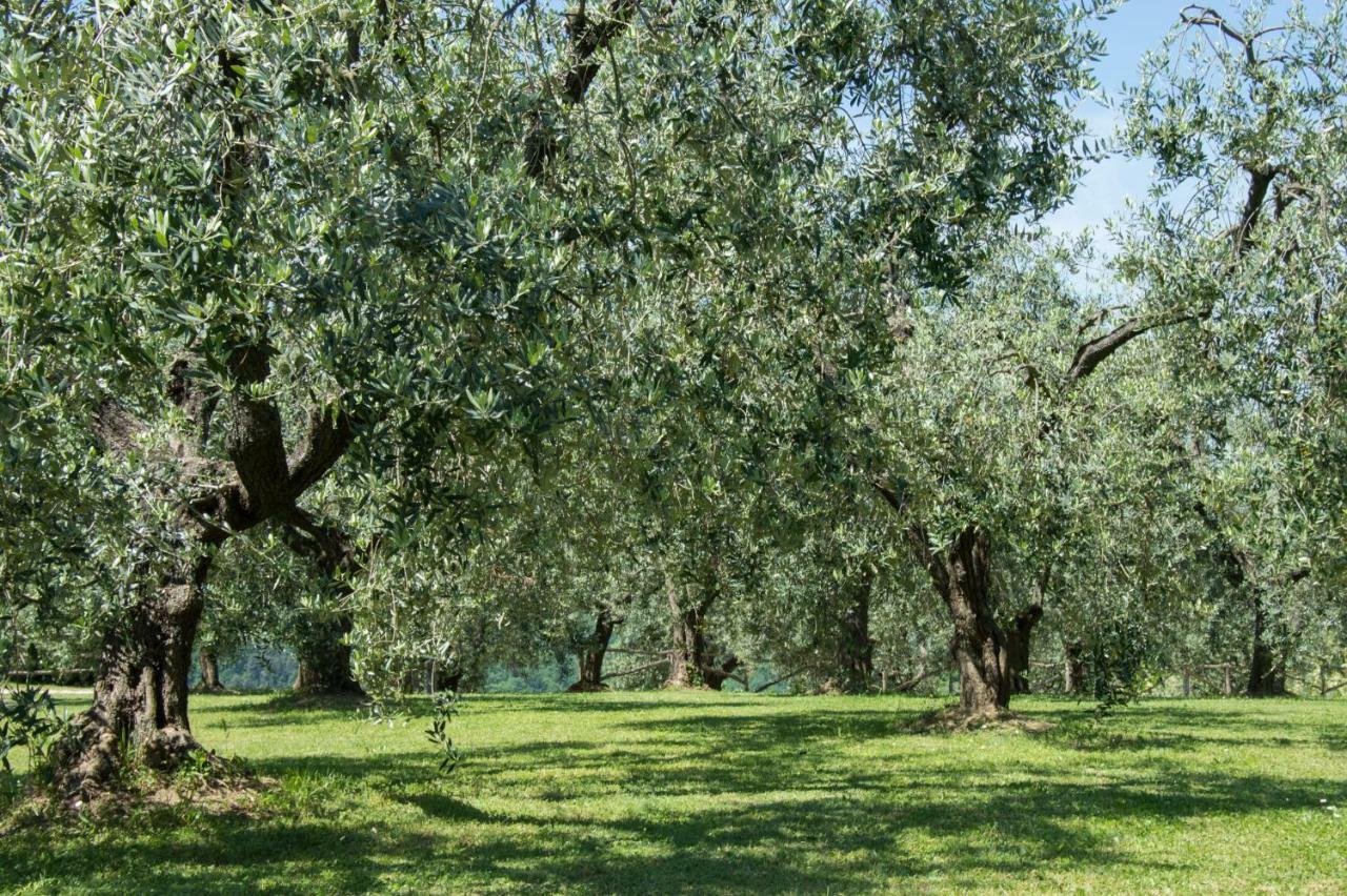 Agriturismo Podere La Casa ปาลายา ภายนอก รูปภาพ