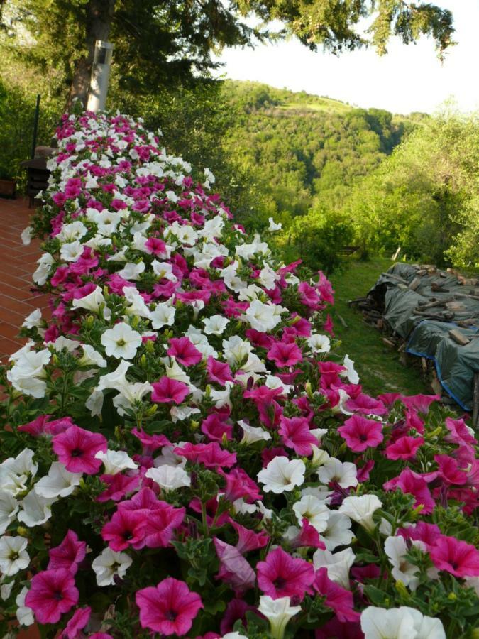Agriturismo Podere La Casa ปาลายา ภายนอก รูปภาพ